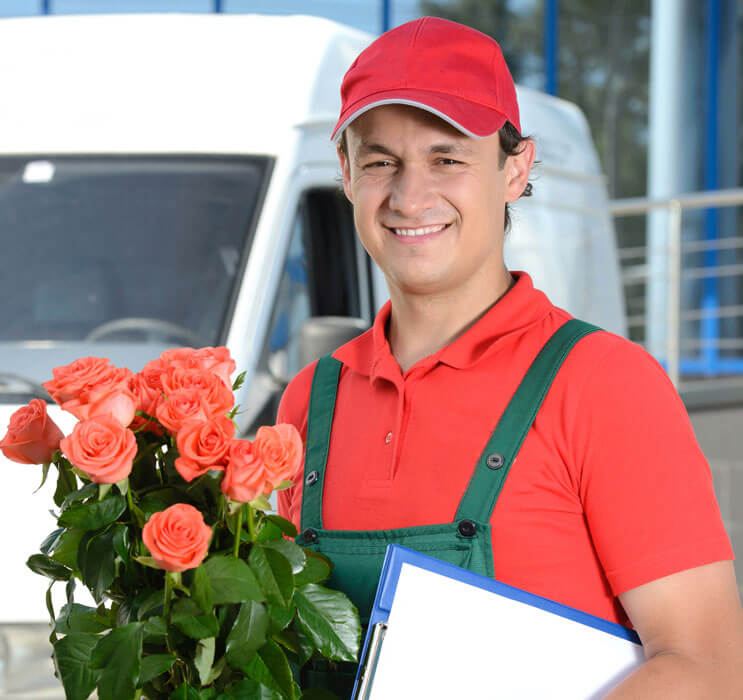 Qulzyx – Fresh Flower Delivery for Every Occasion